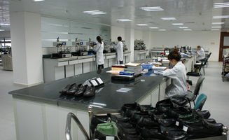 東莞豐信Sedex輔導(dǎo)與房產(chǎn)咨詢 權(quán)威專業(yè)，助力企業(yè)合規(guī)與資產(chǎn)增值