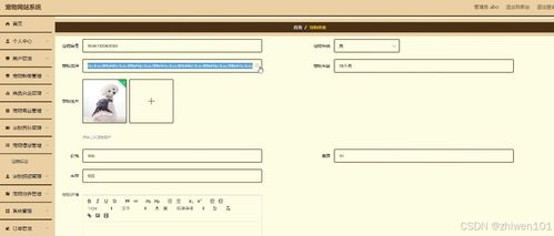 基于Node.js與Vue.js的寵物社區網站系統 計算機畢業設計與系統集成開發實踐